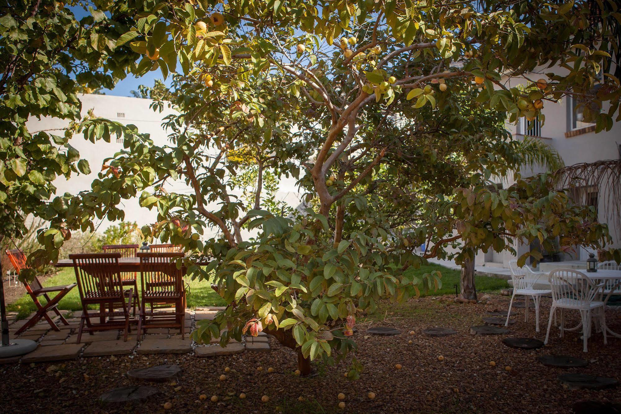 The Lions Guest House Kapstadt Exterior foto